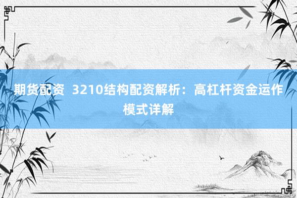 期货配资  3210结构配资解析：高杠杆资金运作模式详解