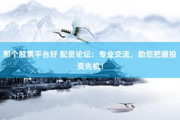 那个股票平台好 配资论坛：专业交流，助您把握投资先机！