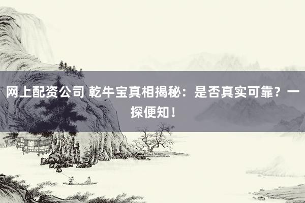 网上配资公司 乾牛宝真相揭秘：是否真实可靠？一探便知！
