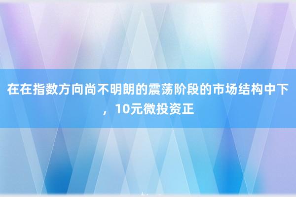 在在指数方向尚不明朗的震荡阶段的市场结构中下，10元微投资正