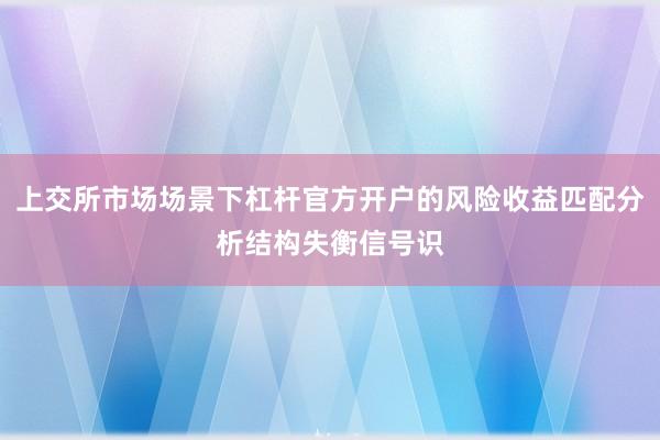 上交所市场场景下杠杆官方开户的风险收益匹配分析结构失衡信号识